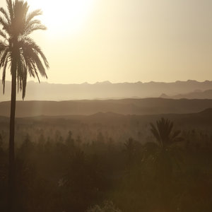 Skoura Palm Grove