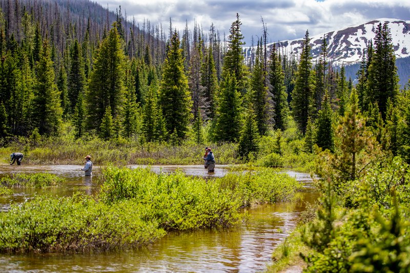 Fishing the Lakes