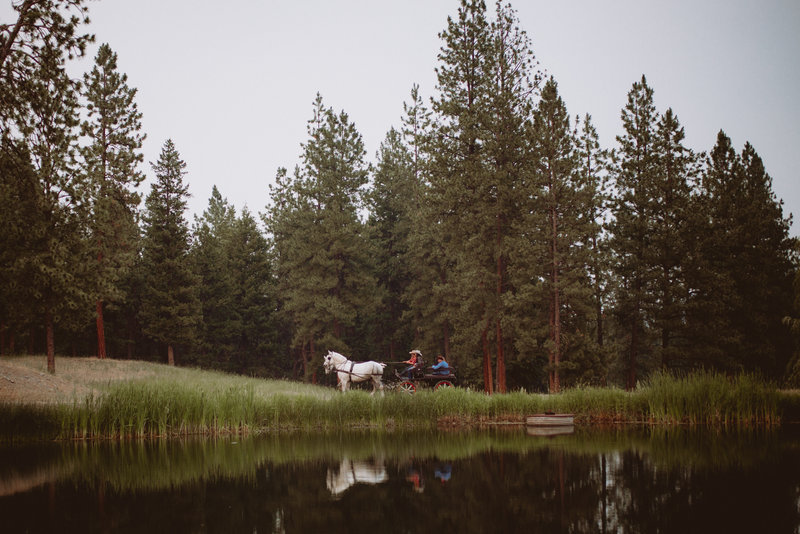 Evening horse-drawn carriage ride