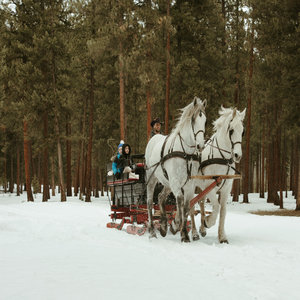 Winter Sleigh Ride