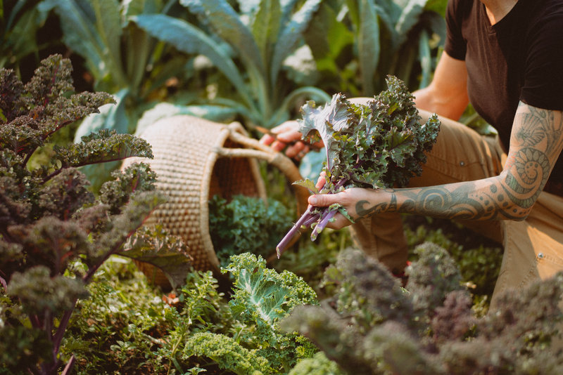 Ranch-to-Table dining harvested from on-property garden