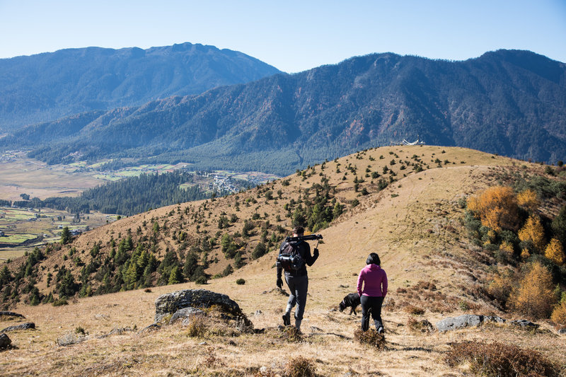 Hiking