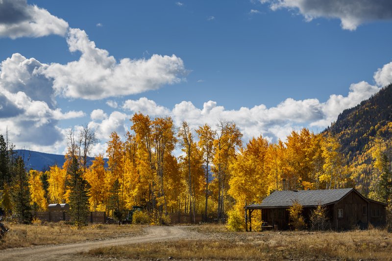 Mackward Cabin