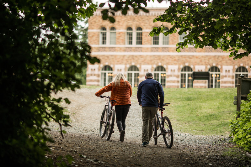 Complimentary Mountain Bikes