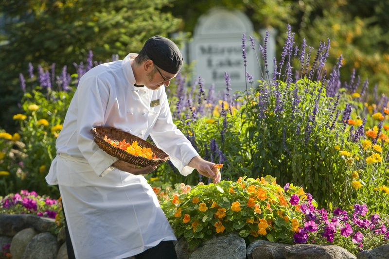 Kitchen Garden