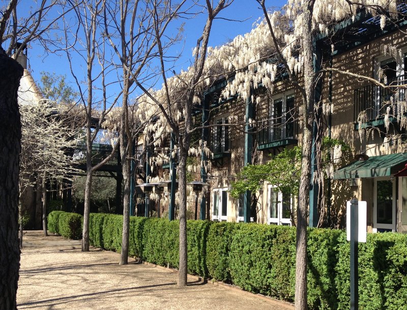 Courtyard