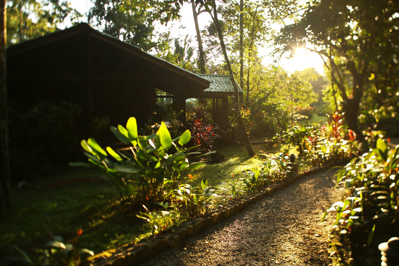 Cabin Exterior