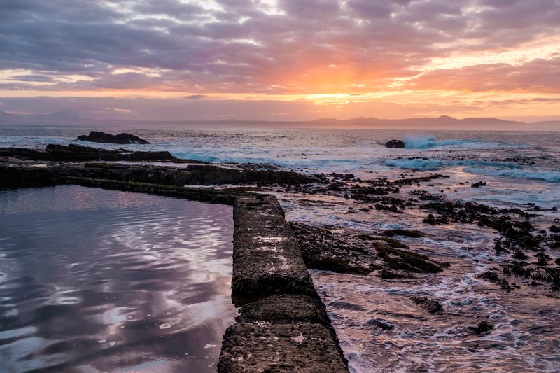 Tidal Pool